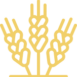 ico_1_1